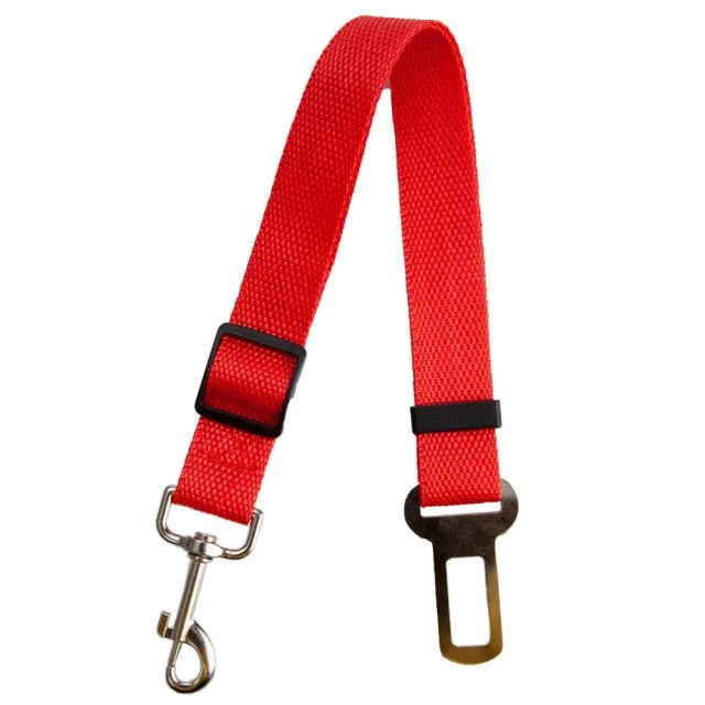 Pet Seat belt