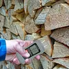 Two Pins Digital Wood Moisture Analyzer Water Leak Detector for Firewood/Drywall