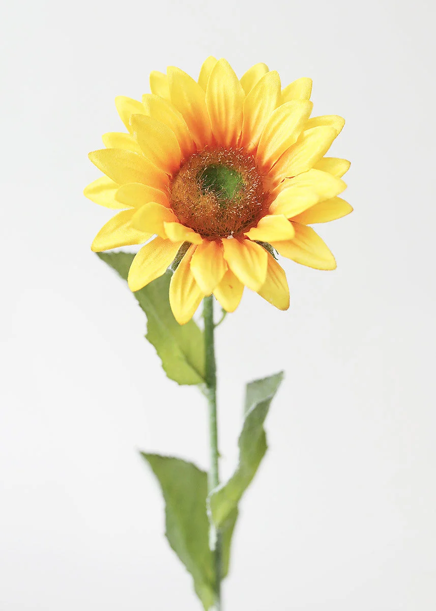 Silk Sunflower in Golden Yellow - 23"