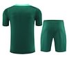 Joyfball 2024 Portugal Training clothing Football Shirt 