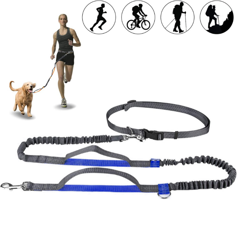 Hands Free Dog Leash