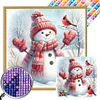 (40*40cm)Red Scarf Cardinal Snowman - Square Partial AB Drill Diamond Painting