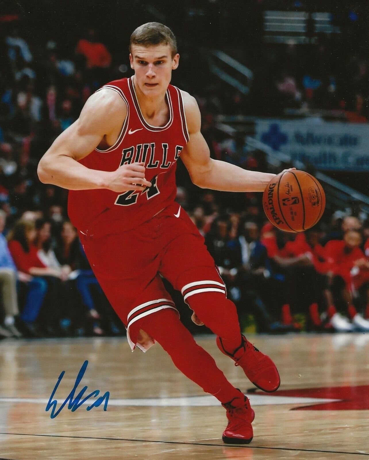 Lauri Markkanen signed Chicago Bulls 8x10 Photo Poster painting autographed