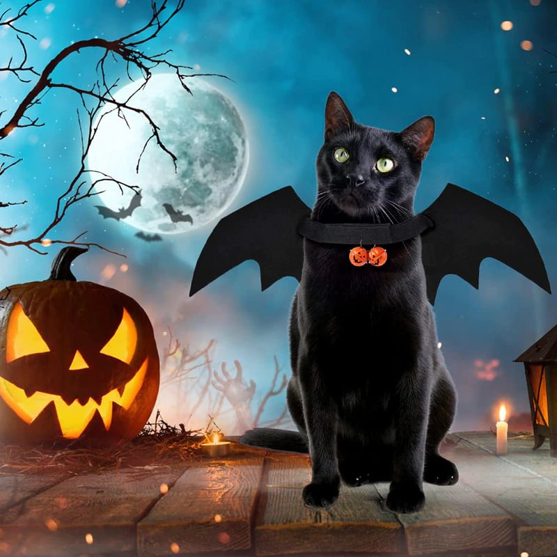 Halloween Costume Pet Bat Wing Pumpkin Bells For Puppy Kitten Cosplay-VESSFUL
