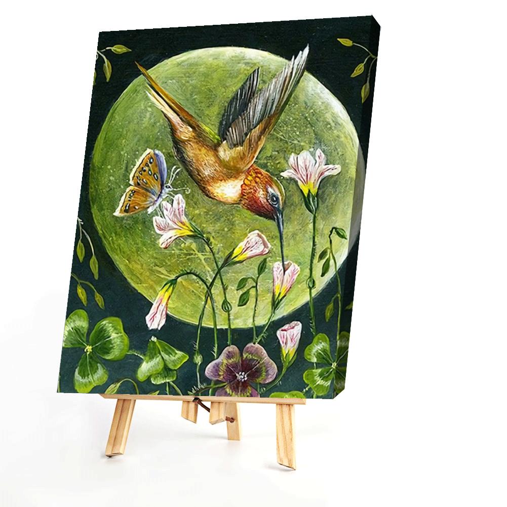 Hummingbird  - Painting By Numbers - 40*50CM gbfke