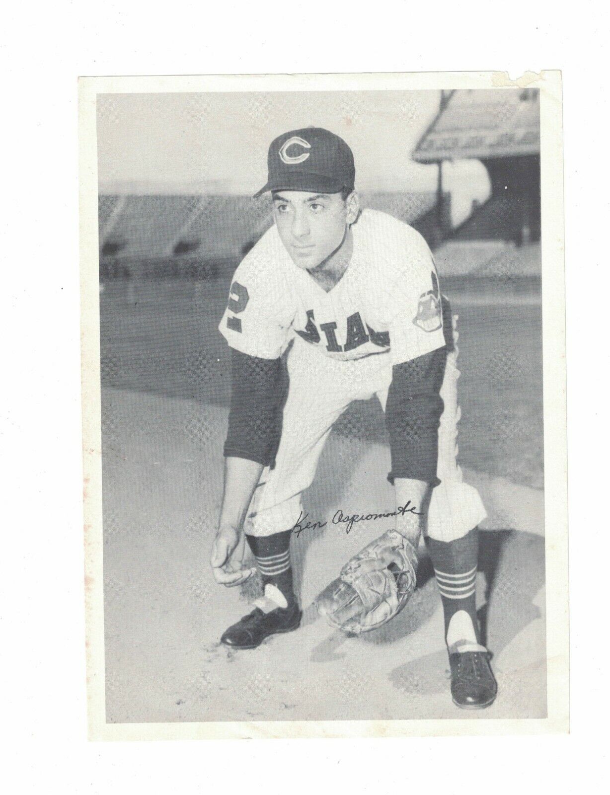 Ken Aspromonte Cleveland Indians 1961 Picture Pack Photo Poster painting CH95