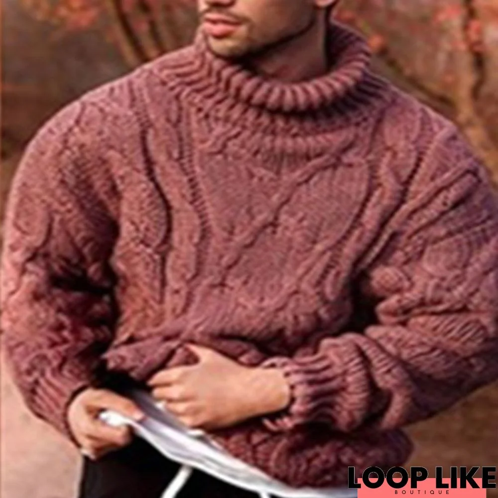 Casual Twisted Turtleneck Men's Sweater