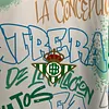 2025/2026 Real Betis Special Edition Football Shirt 1:1 Thai Quality