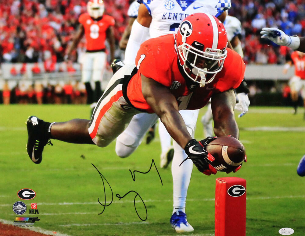 Sony Michel Autographed Georgia 16x20 Diving PF Photo Poster painting - JSA W Auth *Black