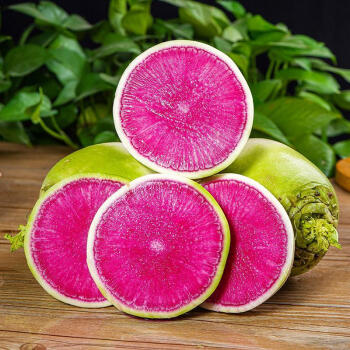 Radish Watermelon Seeds Jonyparkseed®