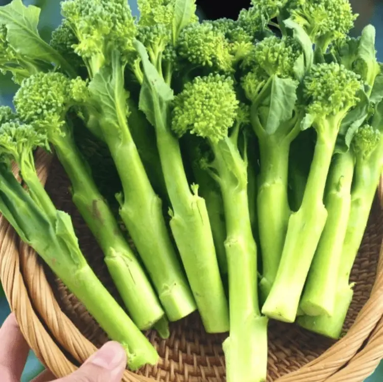 🥦 Easy to Grow, Hard to Resist – Broccoli Stem Seeds for Every Home Garden