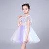 Flower Girl Lace Dress Pageant Kids Wedding Christmas Holiday Party Dresses