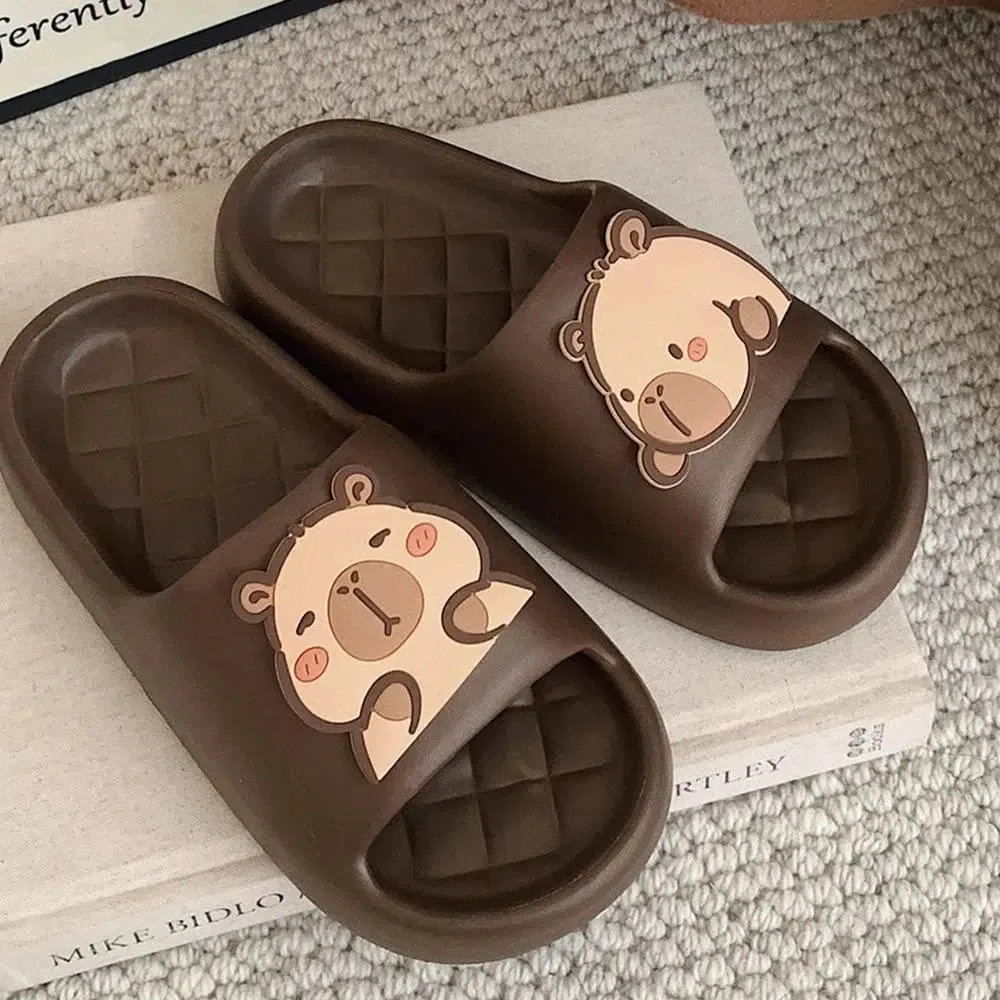 Brownm Rubber Slippers