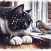 Cat Bird-Partial 11CT Stamped Cross Stitch Bead Embroidery 36*36cm/14.17*14.17in