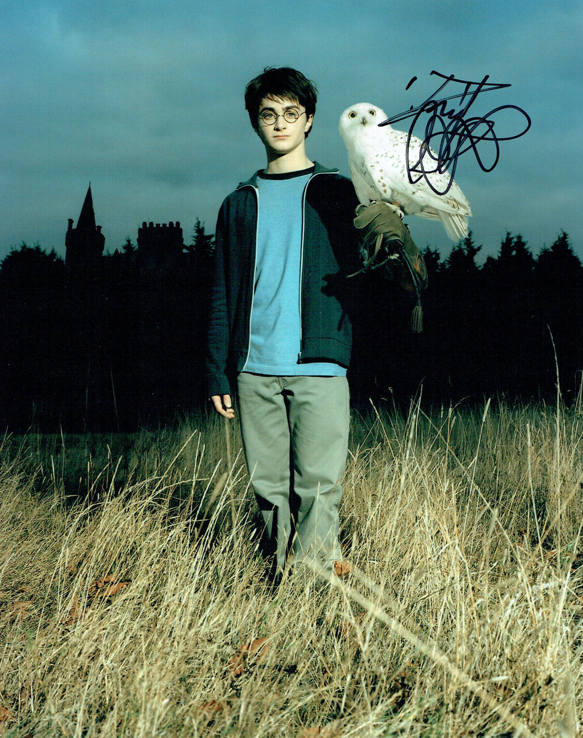 Daniel RADCLIFFE Signed 10 x 8 Photo Poster painting AFTAL COA Harry Potter