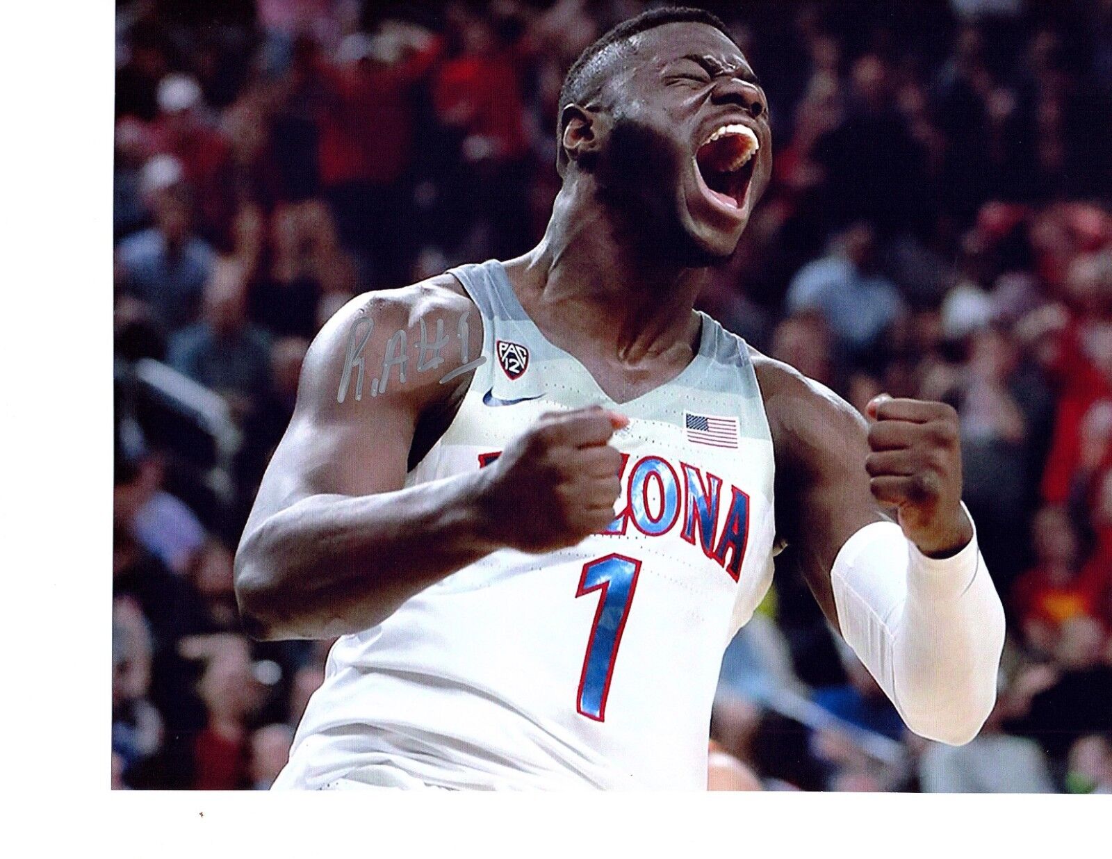 Rawle Alkins Arizona Wildcats basketball Signed Photo Poster painting 8x10 Autograph NBA