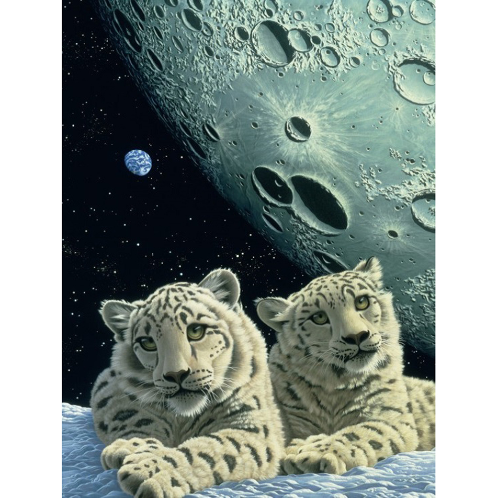 

Cosmic White Tiger - Round Drill Diamond Painting - 30*40CM, 501 Original