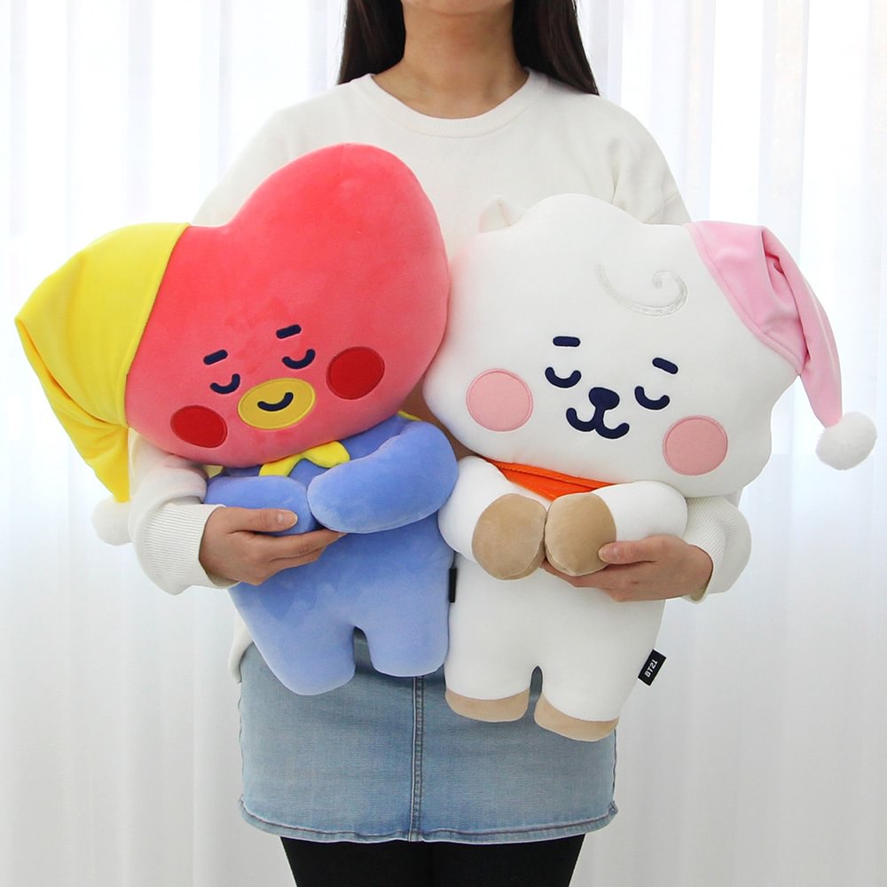 bt21 dream cushion