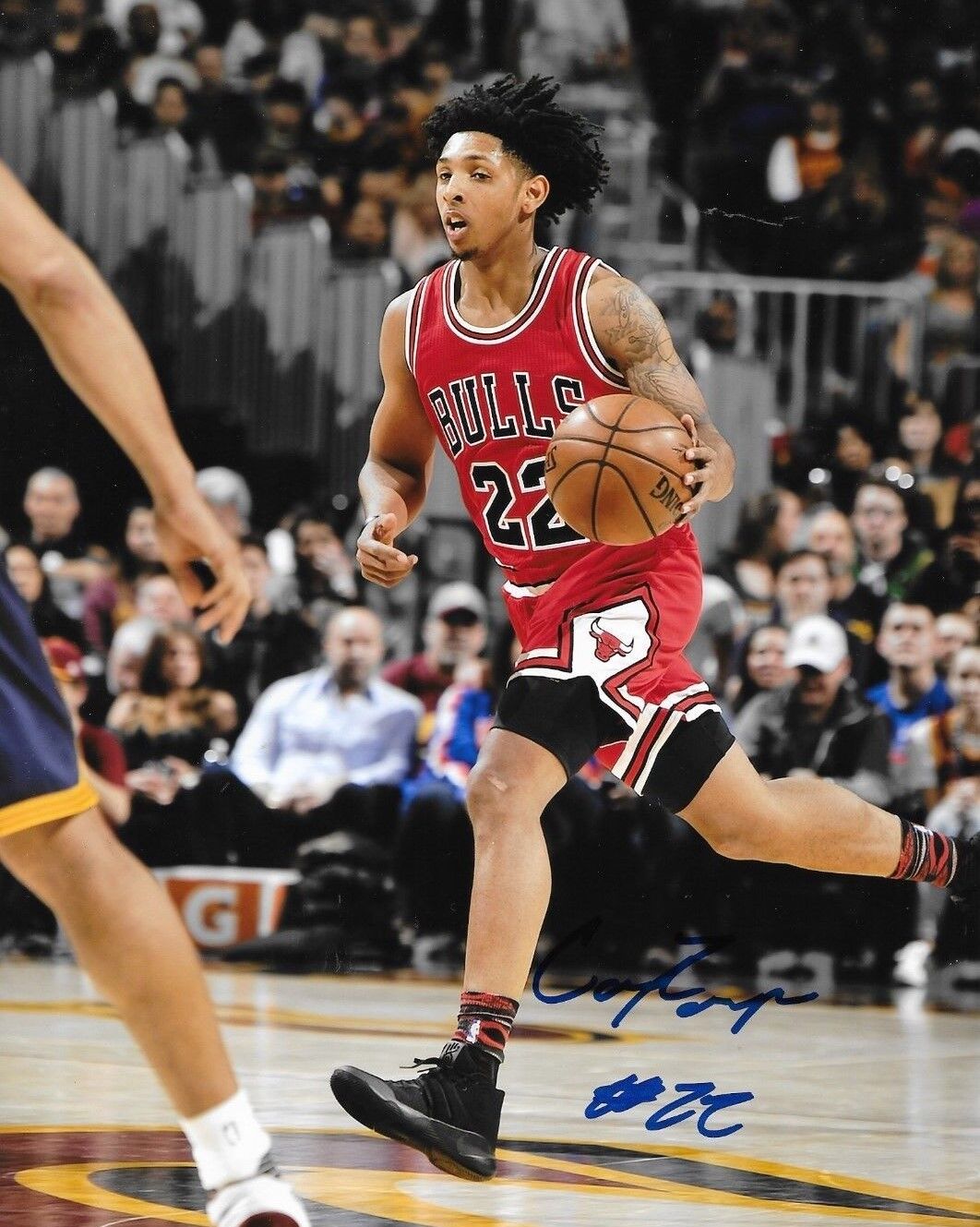 Cameron Payne signed Chicago Bulls 8x10 Photo Poster painting autographed