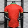 2025 Player Version Cameroon Soccer Jersey Away