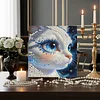 uk.everydayedeals DIY Pearl Painting With Frame - Handmade Self-Adhesive Pearls - Kitten(30*30cm)