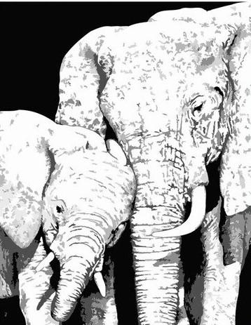 

Black And White Elephants – Paint By Numbers - 40*50CM, 501 Original