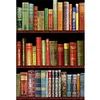 (Multi Style)Bookshelf-Full Embroidery 3 strands 11CT Stamped Cross Stitch-40*60CM-Large Size