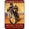 《Motorcycle Rider》 - Vintage Metal Signs(8*12Inch) - Movie