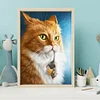 Diamond Painting -5D Full Round Drill Cat(50x40cm)