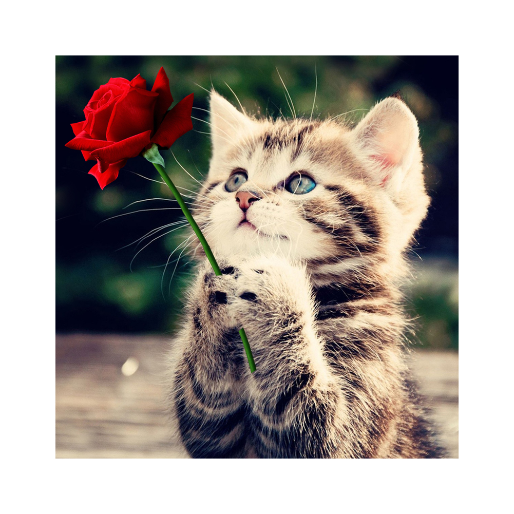 

Naughty Kitten Cat Rose - Special Shaped Diamond Painting - 30*30CM, 501 Original