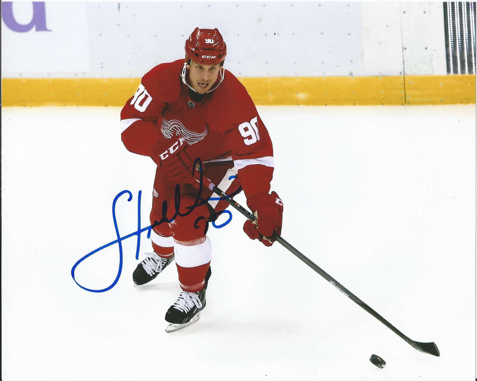 DETROIT RED WINGS STEPHEN WEISS HAND SIGNED AUTHENTIC 8X10 Photo Poster painting NHL B W/COA