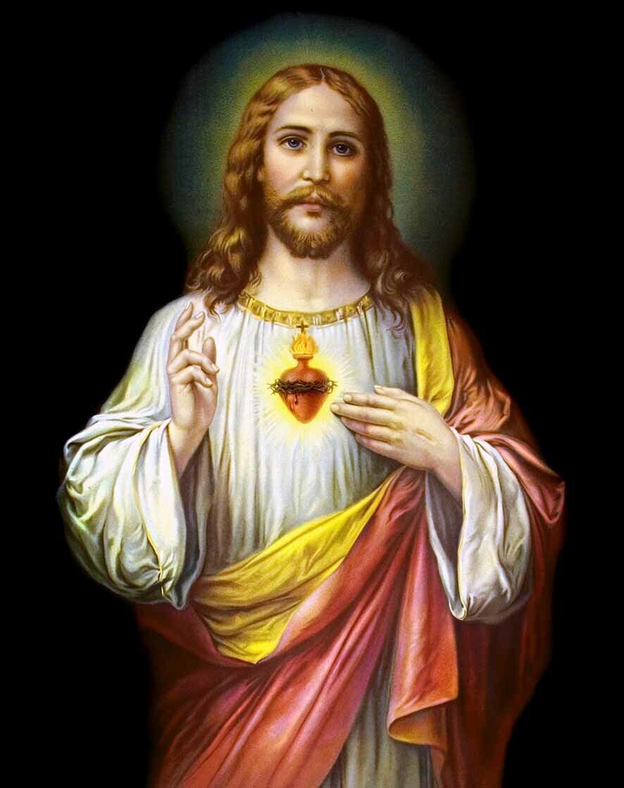 JESUS CHRIST SACRED HEART 8.5 X11 Photo Poster painting PICTURE REPRINT CHRISTIAN GOD FATHER SON