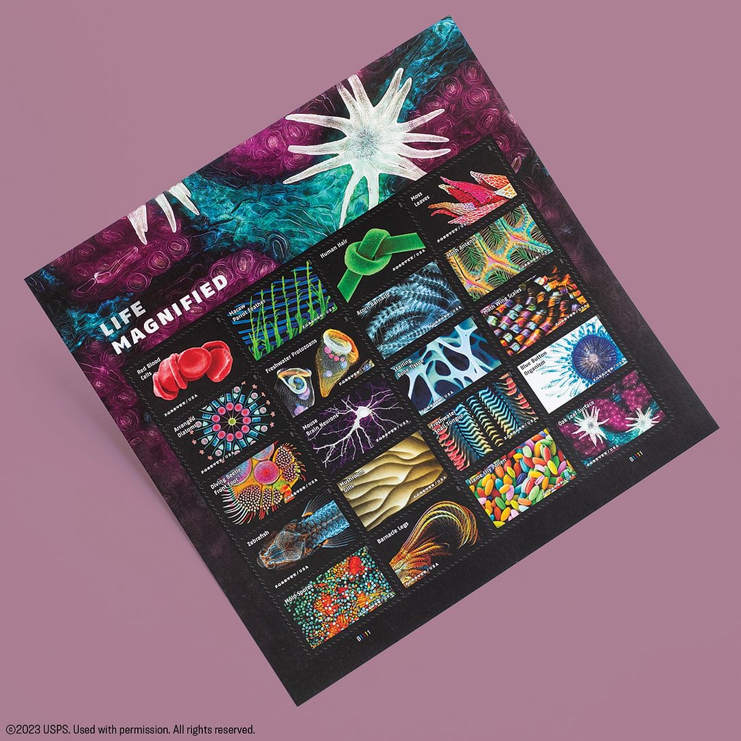 Life Magnified Stamps 2023