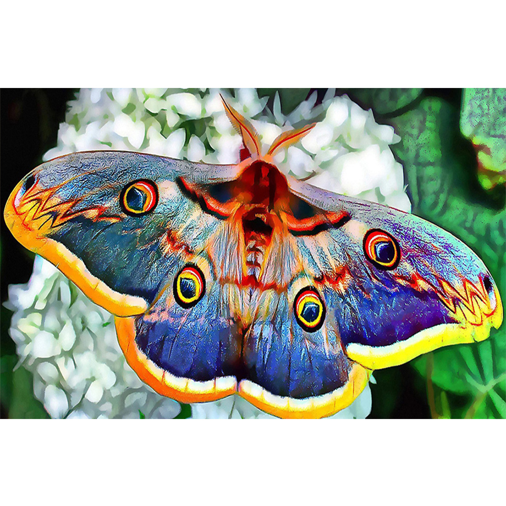 Moths 50*30cm(canvas) full round drill diamond painting