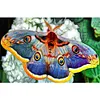 Peinture diamant Moth-Round drill-50*30cm