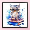 Owl - 18CT Stamped Cross Stitch 25*25cm/9.84*9.84in