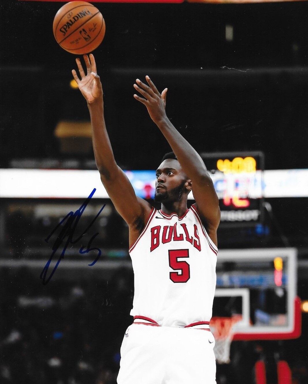 Bobby Portis signed Chicago Bulls 8x10 Photo Poster painting autographed