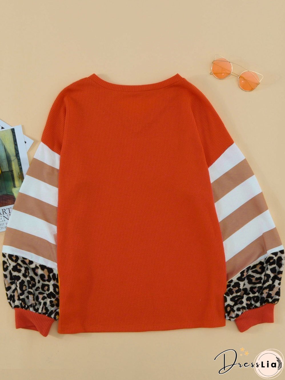 Leopard Stripe V Neck Lantern Sleeve Top with Colorblock Detail