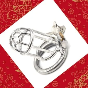 pornhint Pornhint Men Chastity Device,Cock Cage Stainless Steel Penis Ring Sex Toys Cock Lock Bondage Adult Products Fetish,Chastity Belt,Chastity Tube