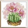 (Counted/Stamped) 14CT Prickly Pear - Cross Stitch 21*21cm/8.27*8.27in(Brand)