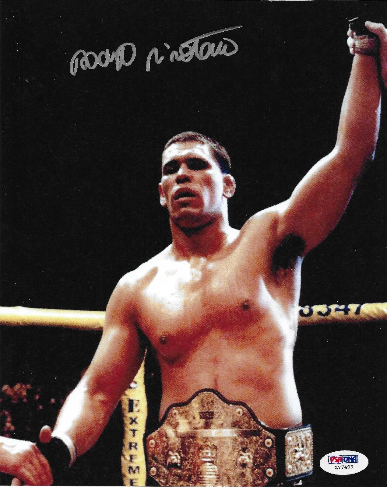 Antonio Rodrigo Nogueira Signed 8x10 Photo Poster painting PSA/DNA COA UFC Pride Picture Auto'd