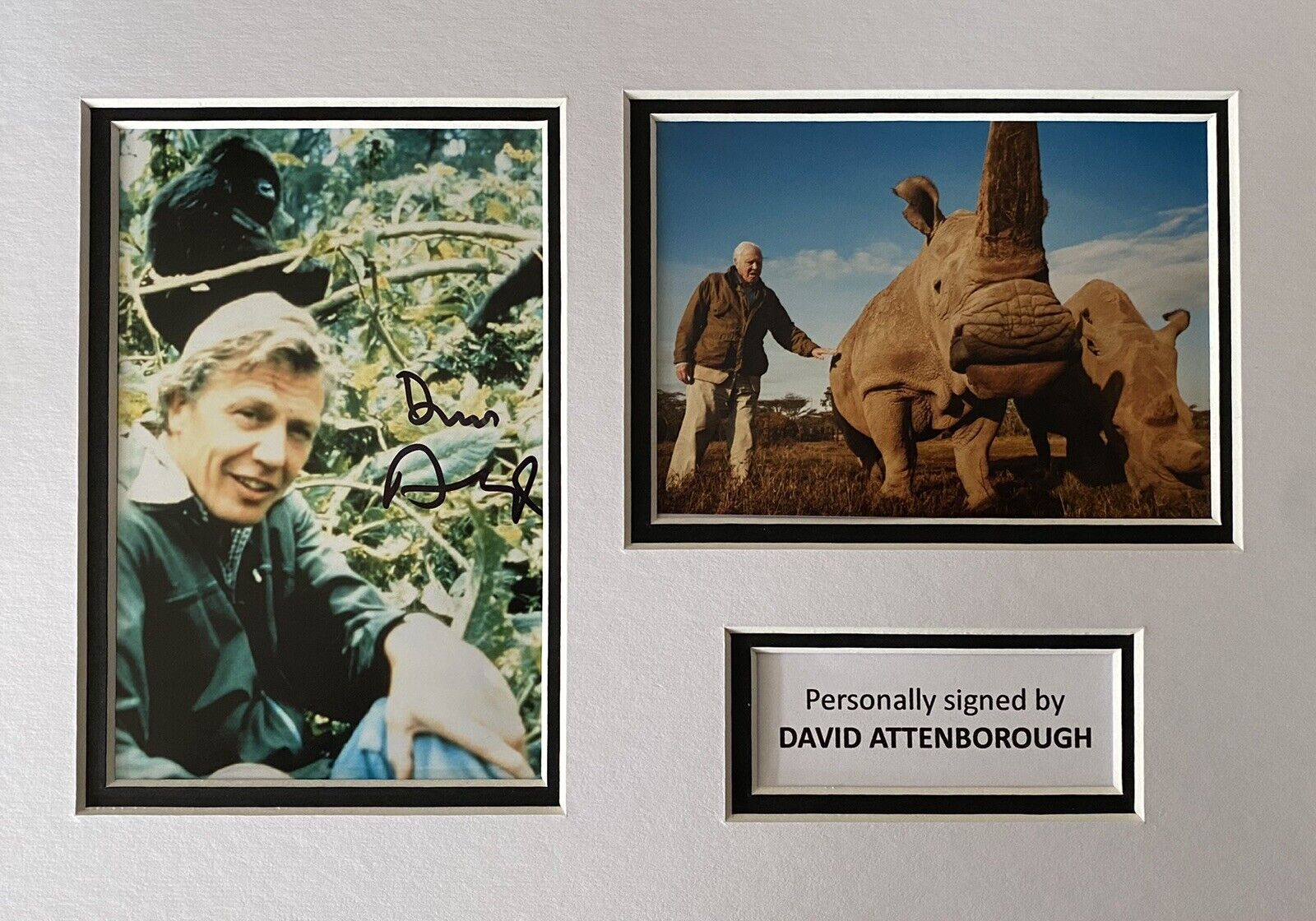 David Attenborough Genuine Signed Photo Poster painting In A4 Mount Display, Ready To Frame, 3