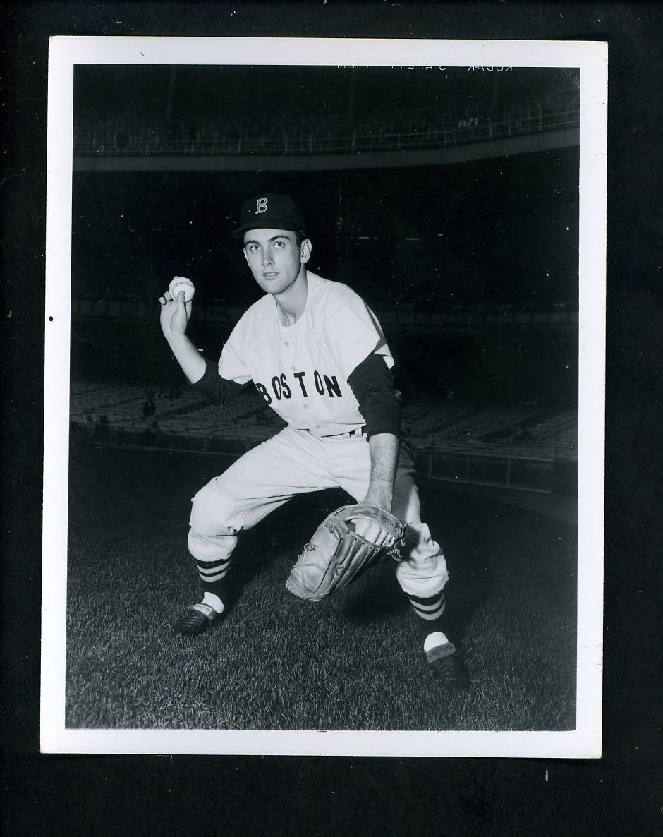 Don Buddin 1960 Type I Louis Requena Press Original Photo Poster painting Boston Red Sox