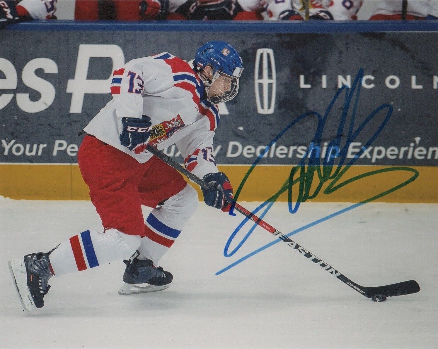 Czech Jakub Lauko Signed Autographed 8x10 NHL Photo Poster painting COA #5