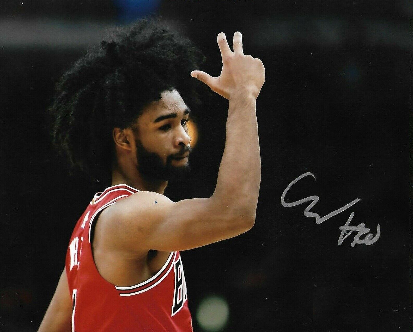 Coby White Autographed Signed 8x10 Photo Poster painting ( Bulls ) REPRINT