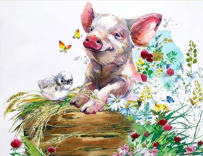 

Pig and Bird – Paint By Numbers - 40*50CM, 501 Original