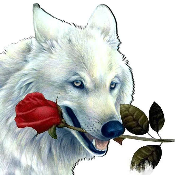 Diamond Painting - Partial Round - White Wolf