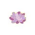Dreamy Lotus