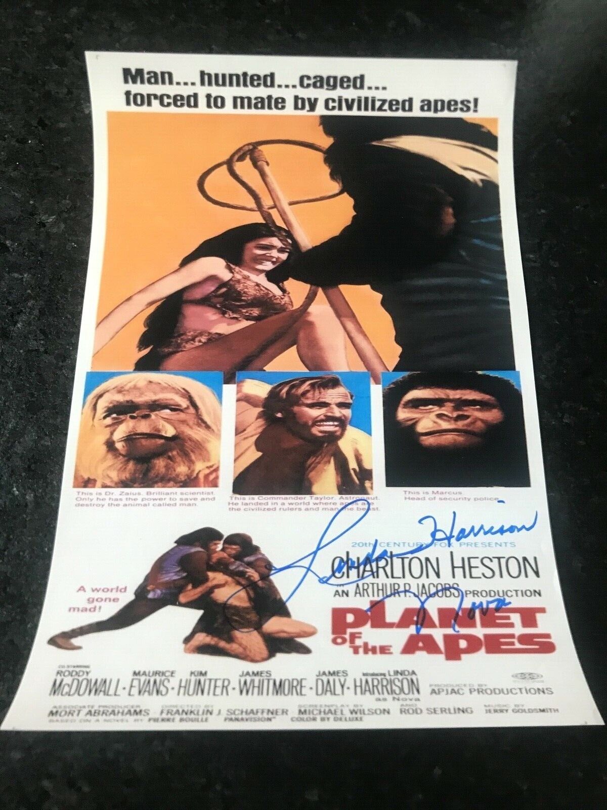 * LINDA HARRISON * signed 12x18 poster * PLANET OF THE APES * NOVA * COA * 4