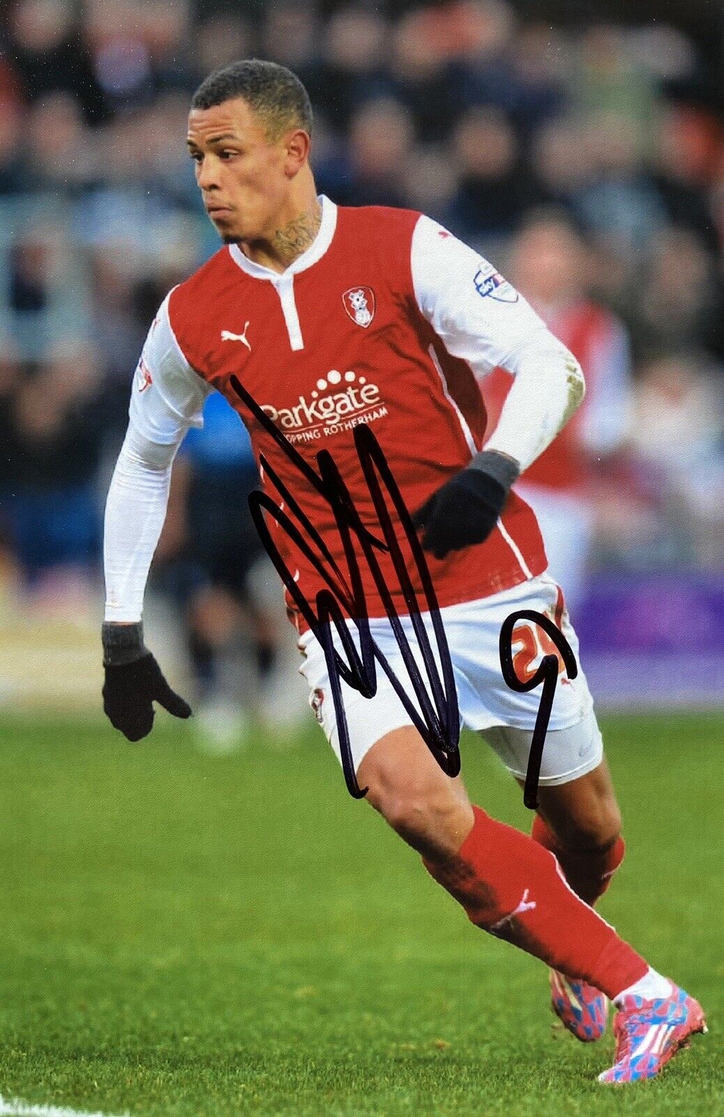 Jonson Clarke-Harris Genuine Hand Signed 6X4 Rotherham United Photo Poster painting 2